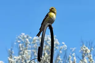 104 E Sutton Pl, Waukesha, WI 53188 - Photo 45