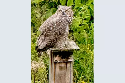 104  East Sutton Pl #D, Waukesha, WI 53188 - Photo 49