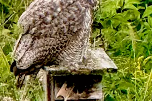 104 E Sutton Pl, Waukesha, WI 53188 - Photo 49