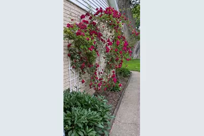 8624 N 63rd St, Brown Deer, WI 53223 - Photo 27