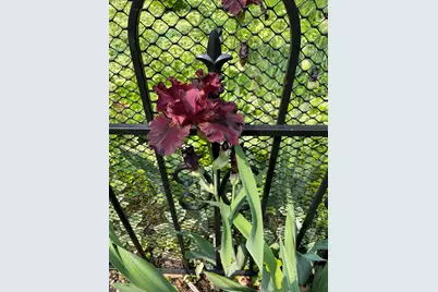 2100 S Cherrywood Ct, New Berlin, WI 53151 - Photo 47