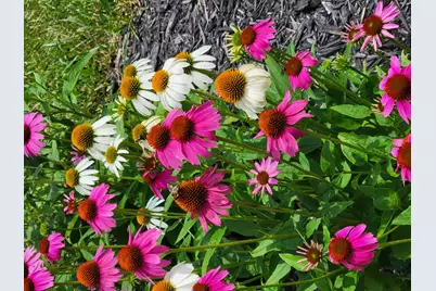 812  Bridle Ln, La Crescent, MN 55947 - Photo 29