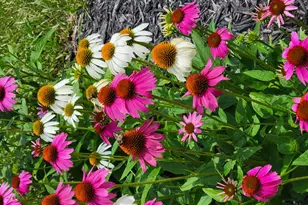 812 Bridle Ln, La Crescent, MN 55947 - Photo 29