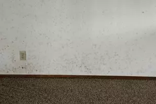 3201 96th St, Sturtevant, WI 53177 - Photo 15