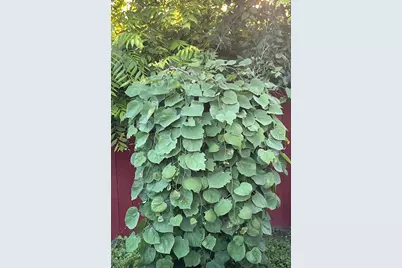 3351 S 66th St, Milwaukee, WI 53219 - Photo 37