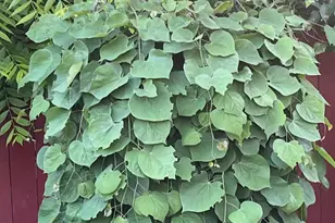 3351 S 66th St, Milwaukee, WI 53219 - Photo 37