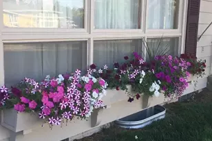 109 Hill St, La Crescent, MN 55947 - Photo 5