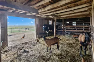 W5837 County Rd A, Sugar Creek, WI 53121 - Photo 61