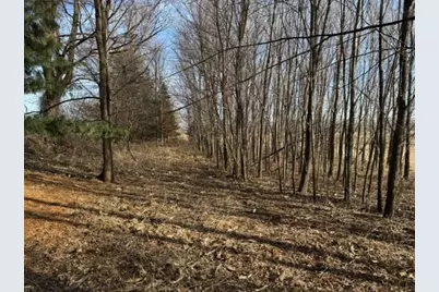 Lt0  Main St, Concord, WI 53178 - Photo 7