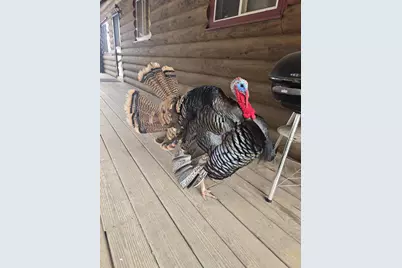 22450  Kodiak Rd, Clifton, WI 54638 - Photo 61