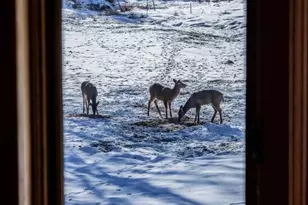 22450 Kodiak Rd, Clifton, WI 54638 - Photo 59