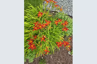 9830 W Plainfield Ave, Greenfield, WI 53228 - Photo 39