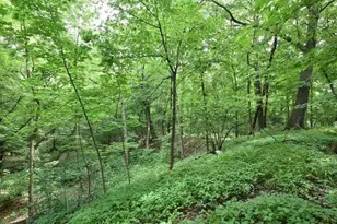 824 N 66th St, Wauwatosa, WI 53213 - Photo 29