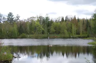 N11502 Nelson Rd, Athelstane, WI 54177 - Photo 67