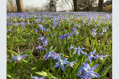 604 N 119th St, Wauwatosa, WI 53226 - Photo 59