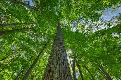 604 N 119th St, Wauwatosa, WI 53226 - Photo 5