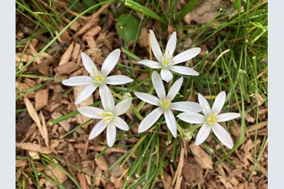 604 N 119th St, Wauwatosa, WI 53226 - Photo 63