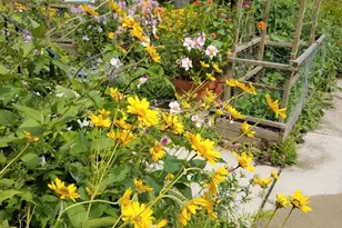 2512 E Edgewood Ave, Shorewood, WI 53211 - Photo 17