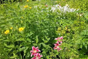 2512 E Edgewood Ave, Shorewood, WI 53211 - Photo 19