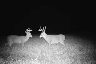 1615 Ulao Parkway, Grafton, WI 53024 - Photo 37