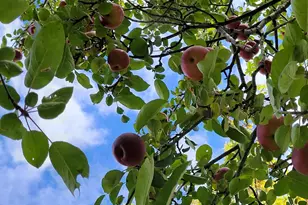 1615 Ulao Parkway, Grafton, WI 53024 - Photo 79