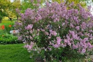 1615 Ulao Parkway, Grafton, WI 53024 - Photo 91