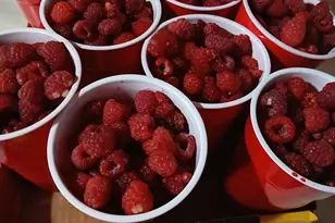 6372 Wildlife Rd, Addison, WI 53002 - Photo 43