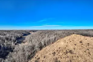 351 Acres County Road S -, Hickory Grove, WI 53805 - Photo 13