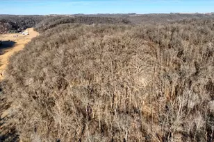 351 Acres County Road S -, Hickory Grove, WI 53805 - Photo 21