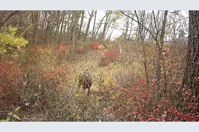 351  Acres County Road S -, Hickory Grove, WI 53805 - Photo 69