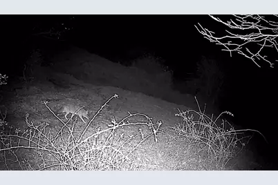 351  Acres County Road S -, Hickory Grove, WI 53805 - Photo 71