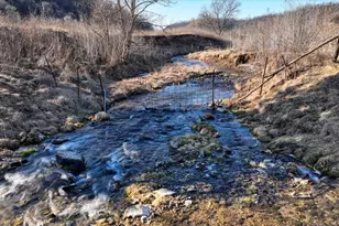 351 Acres County Road S -, Hickory Grove, WI 53805 - Photo 11
