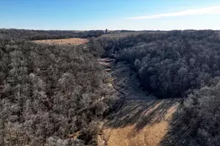 351 Acres County Road S -, Hickory Grove, WI 53805 - Photo 17