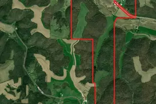 351 Acres County Road S -, Hickory Grove, WI 53805 - Photo 57