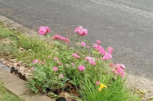 W5336 Wisconsin Dr, Sugar Creek, WI 53121 - Photo 57