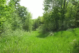 S4108 Haugrud Hollow Rd, Webster, WI 54639 - Photo 63