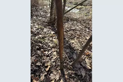 S4108  Haugrud Hollow Rd, Webster, WI 54639 - Photo 47