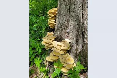 S4108  Haugrud Hollow Rd, Webster, WI 54639 - Photo 51