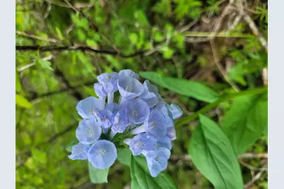 S4108  Haugrud Hollow Rd, Webster, WI 54639 - Photo 37