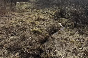 S4108 Haugrud Hollow Rd, Webster, WI 54639 - Photo 45