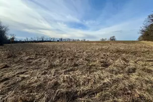 W3769 State Road 44 -, Manchester, WI 53946 - Photo 45