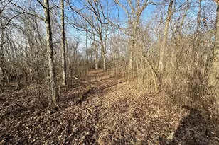 W3769 State Road 44 -, Manchester, WI 53946 - Photo 49