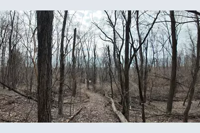 Lt1  Freedom Rd, Oxford, WI 53952 - Photo 17