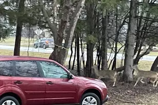 4961 S 92nd St, Greenfield, WI 53228 - Photo 15