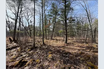 000  Hawk Rd, Adrian, WI 54656 - Photo 25