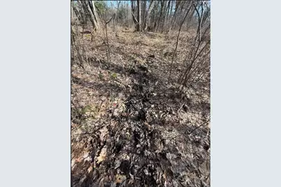 000  Hawk Rd, Adrian, WI 54656 - Photo 19