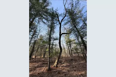 000  Hawk Rd, Adrian, WI 54656 - Photo 15