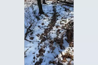 000  Hawk Rd, Adrian, WI 54656 - Photo 9