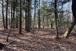 000 Hawk Rd, Adrian, WI 54656 - Photo 1