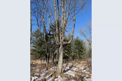 000  Hawk Rd, Adrian, WI 54656 - Photo 11